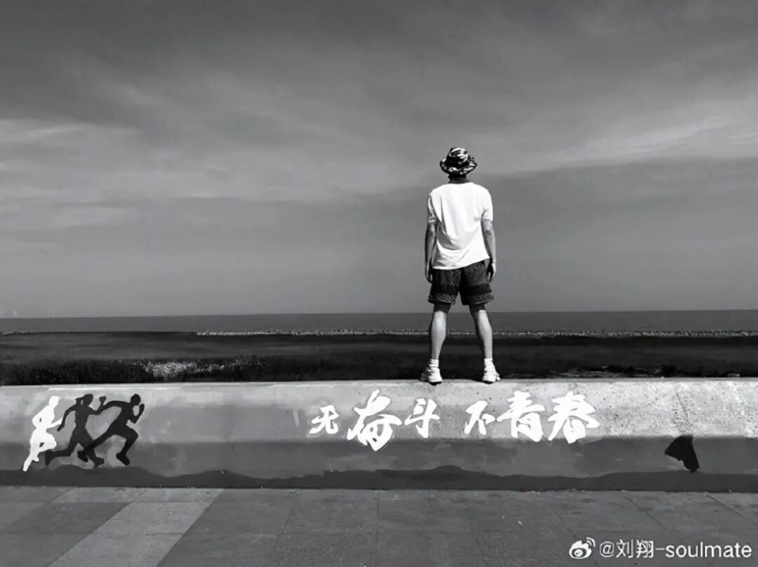 刘翔与姚明，为何活成了两种风向？当姚明还是王治郅，刘翔应当自选